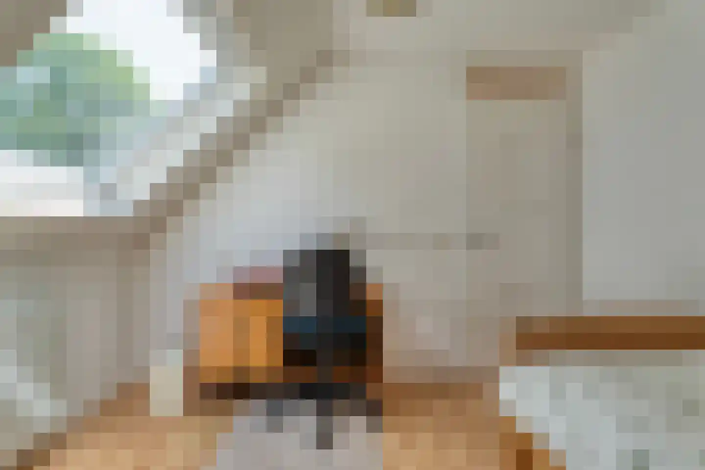 Plataan 3 Coevorden thumbnail 33