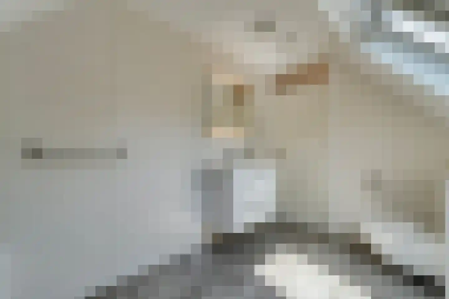 Plataan 3 Coevorden thumbnail 40