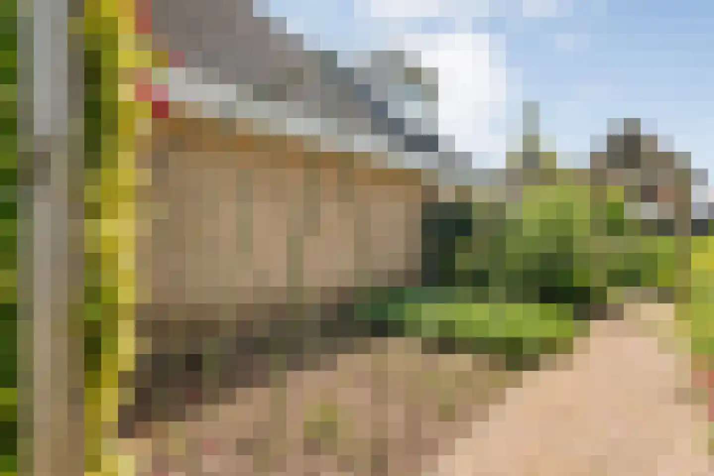 Plataan 3 Coevorden thumbnail 44