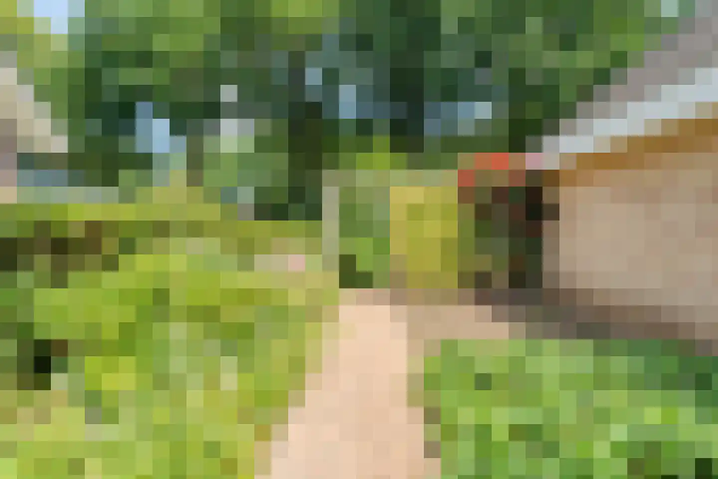 Plataan 3 Coevorden thumbnail 45