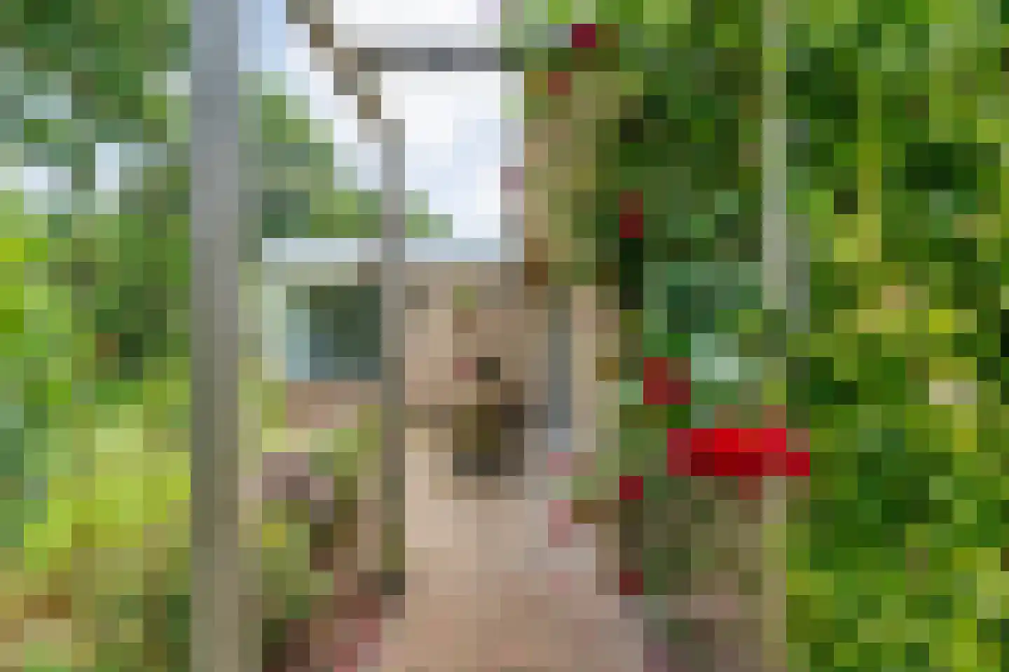 Plataan 3 Coevorden thumbnail 46
