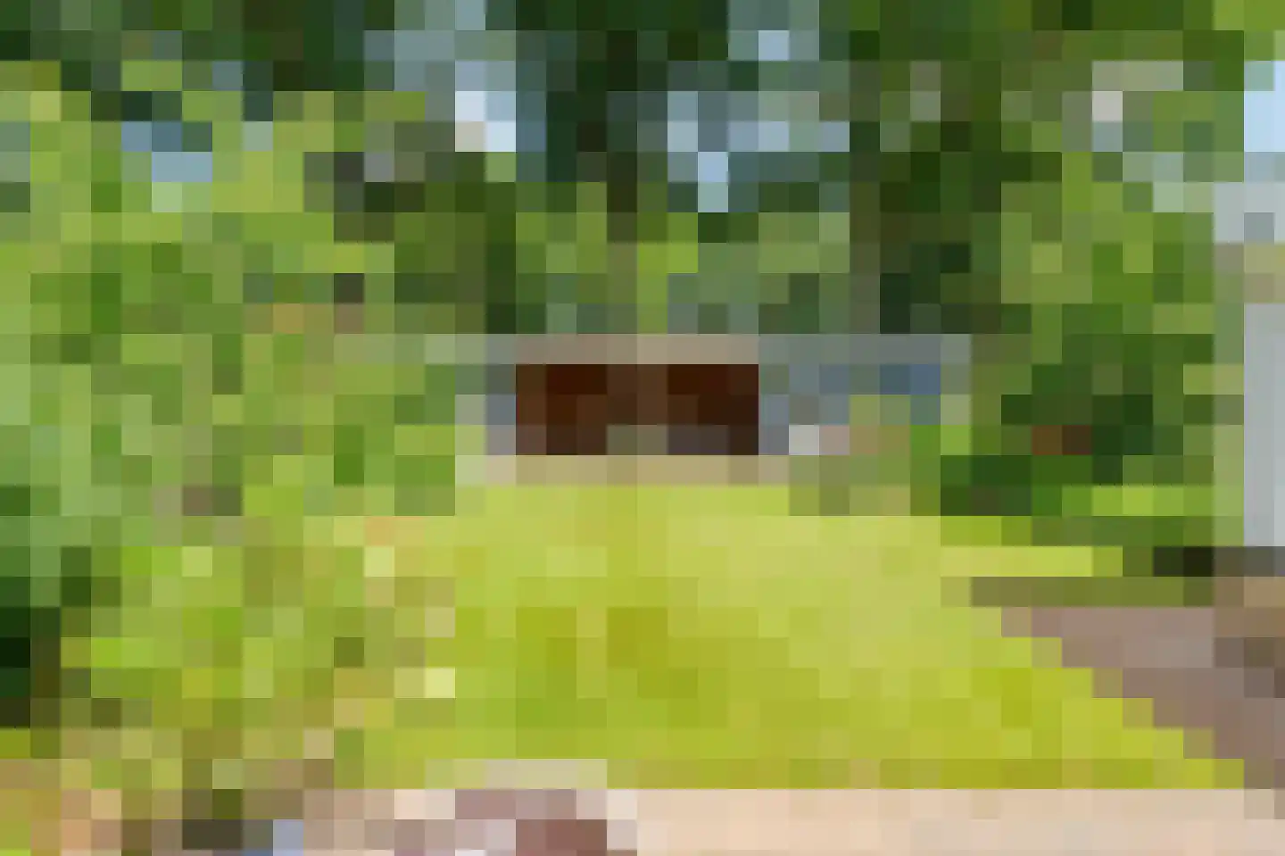 Plataan 3 Coevorden thumbnail 48
