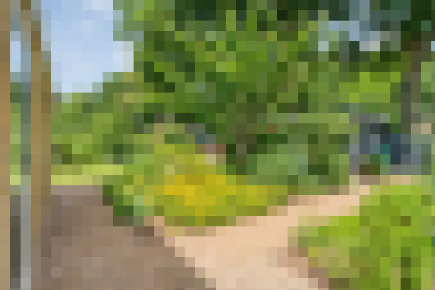 Plataan 3 Coevorden thumbnail 49