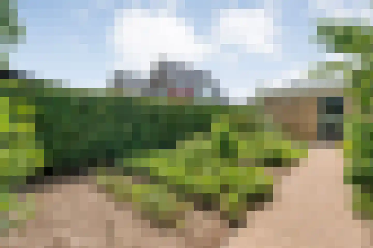 Plataan 3 Coevorden thumbnail 51