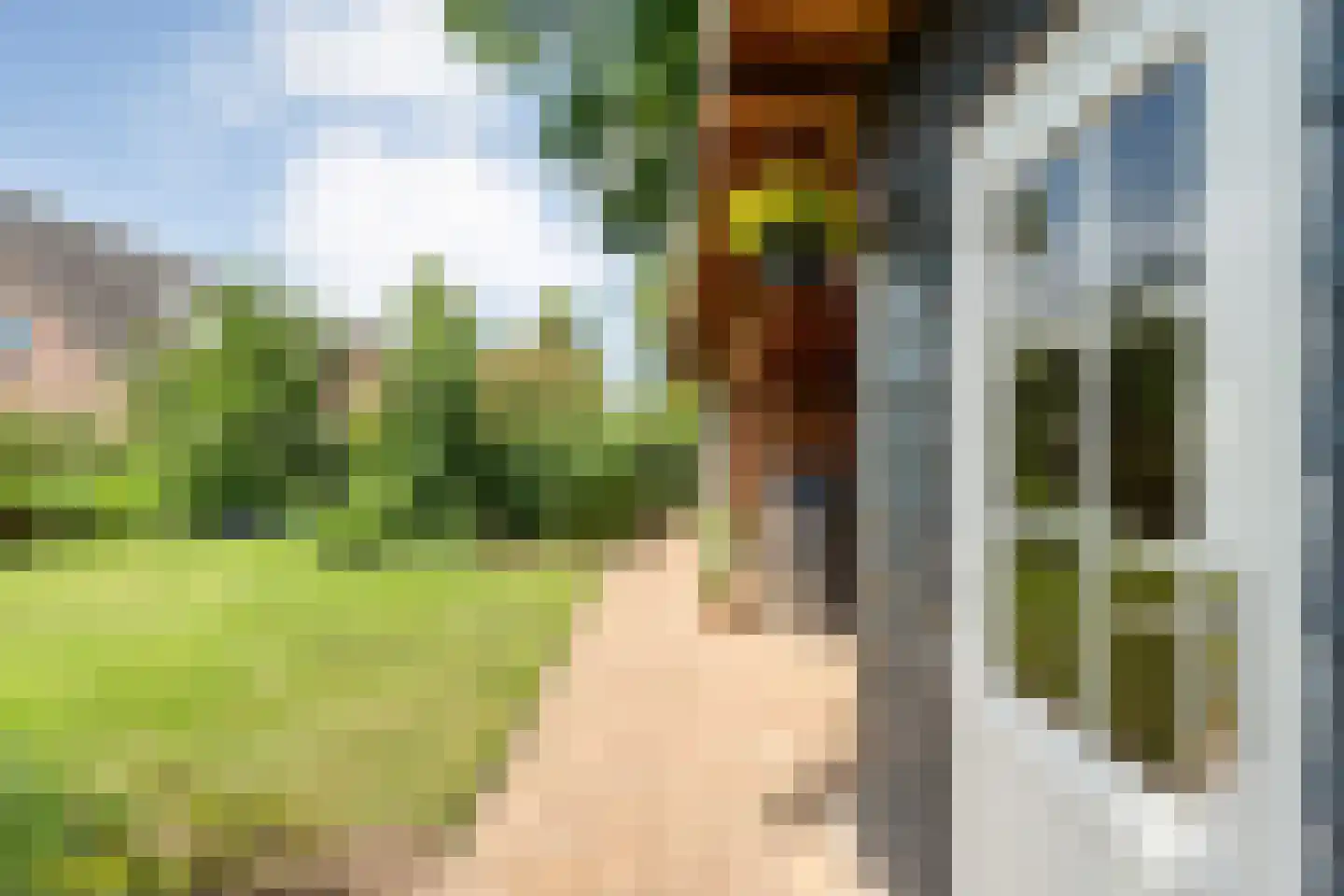 Plataan 3 Coevorden thumbnail 52