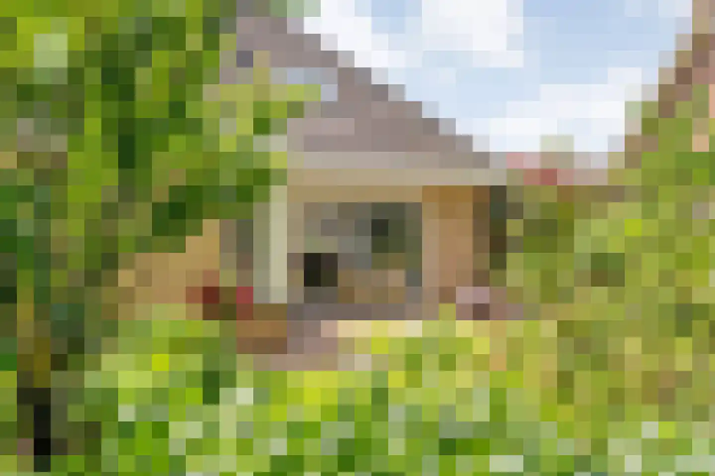 Plataan 3 Coevorden thumbnail 53