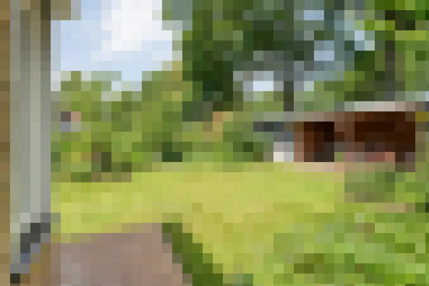 Plataan 3 Coevorden thumbnail 55