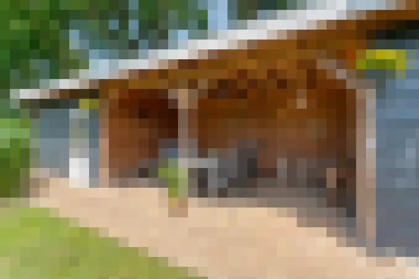 Plataan 3 Coevorden thumbnail 56