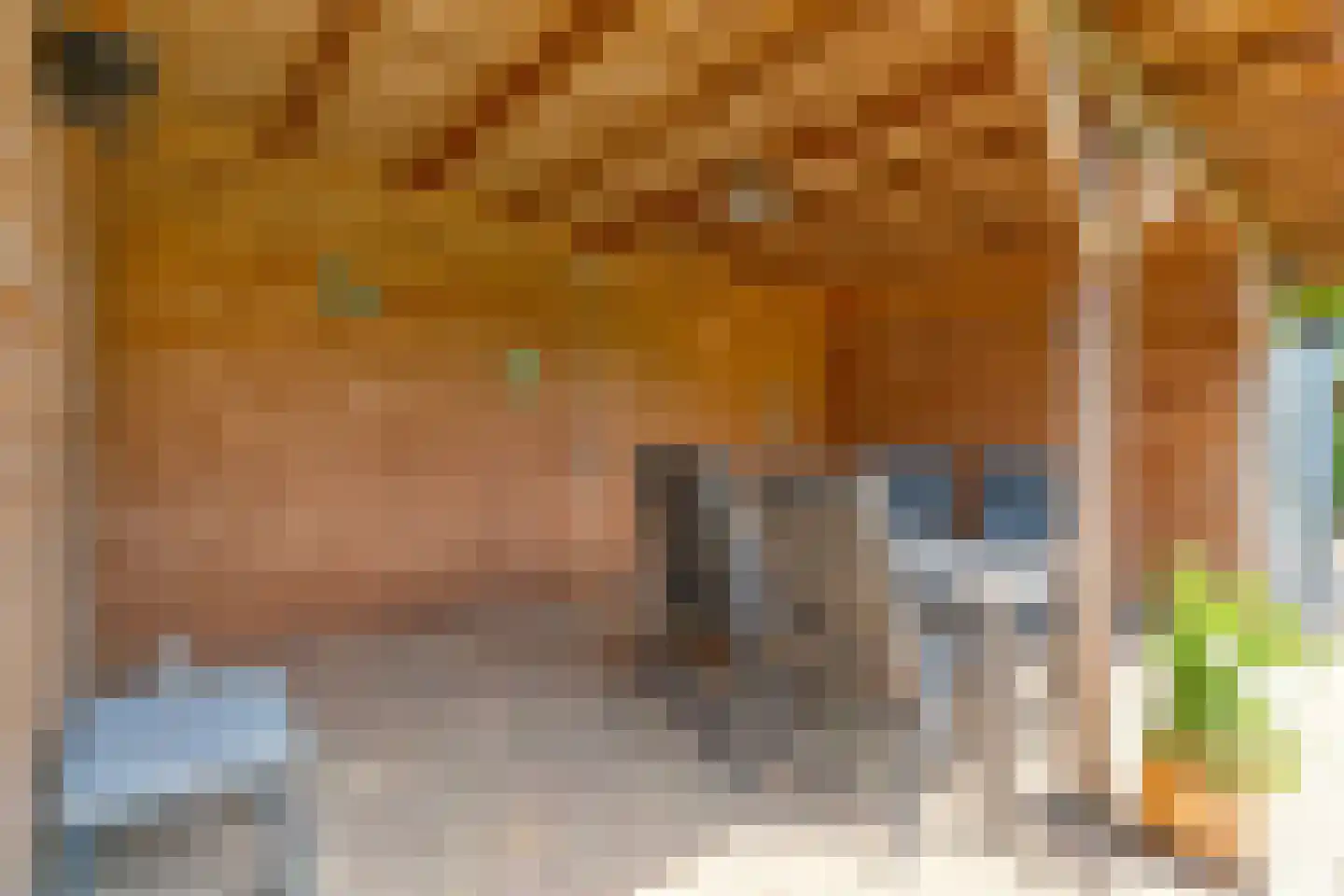 Plataan 3 Coevorden thumbnail 57