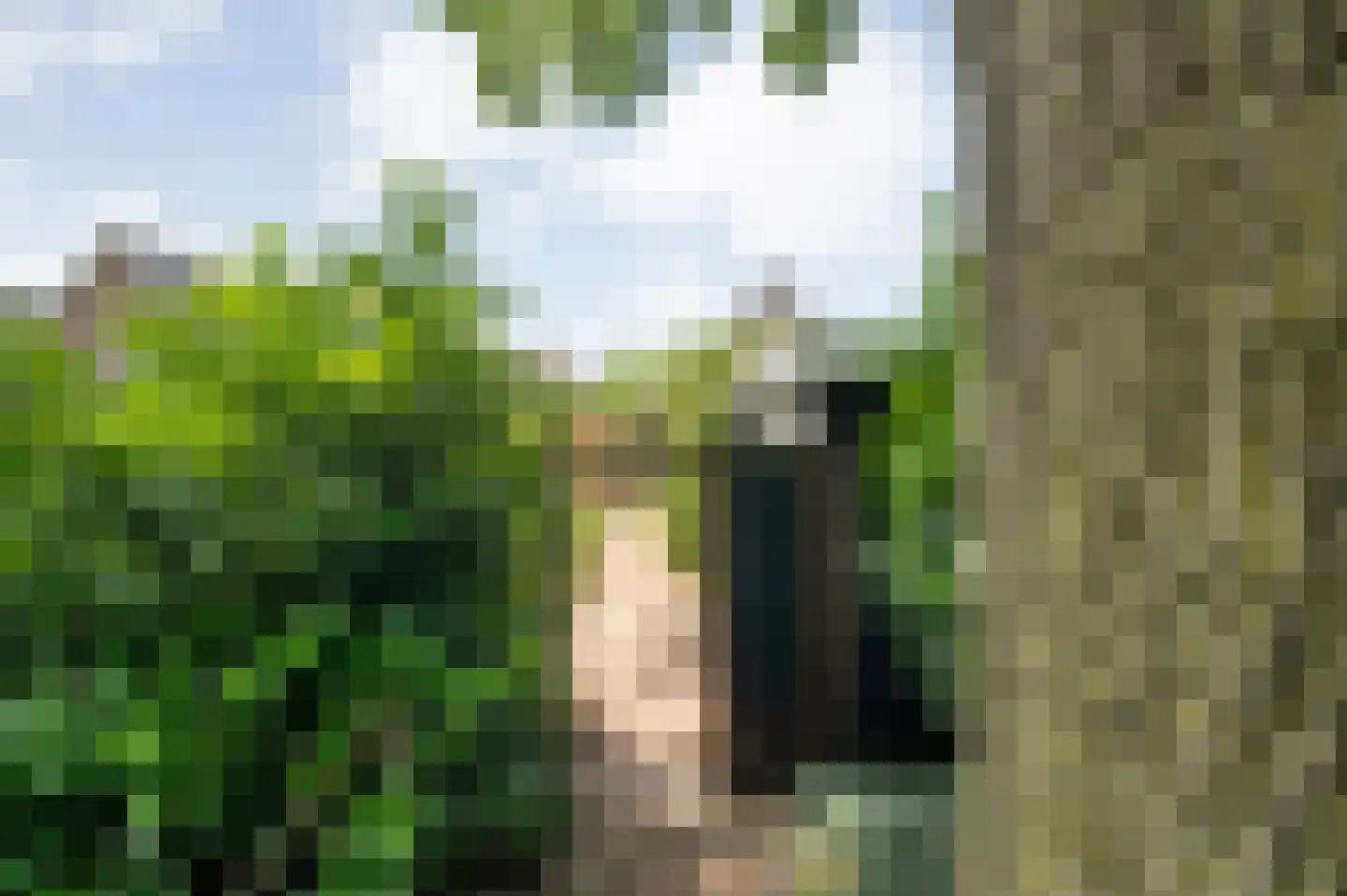 Plataan 3 Coevorden thumbnail 59
