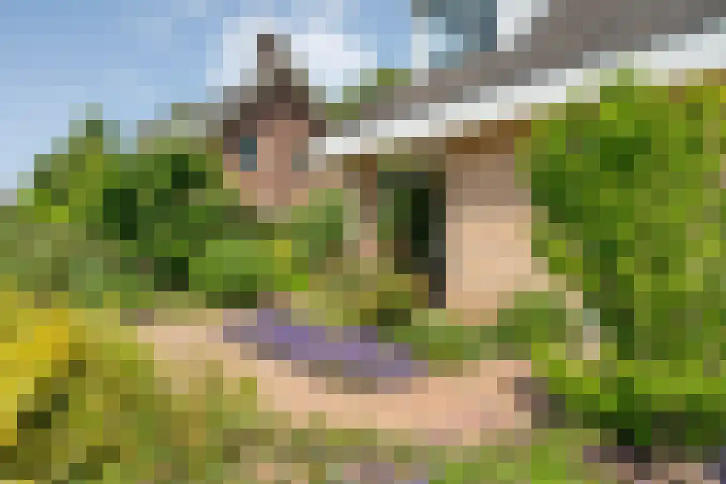 Plataan 3 Coevorden thumbnail 6