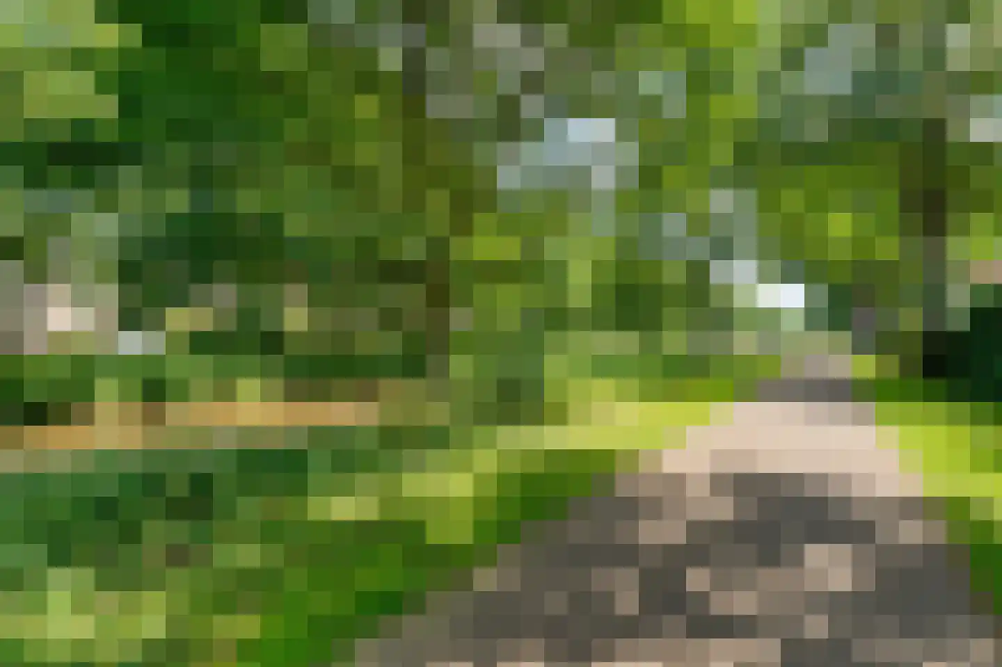 Plataan 3 Coevorden thumbnail 60