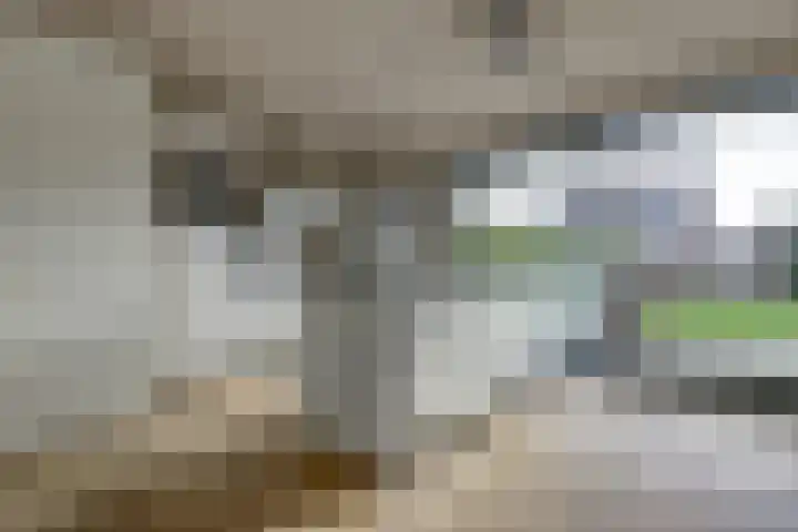 Plataan 3 Cuijk thumbnail 20