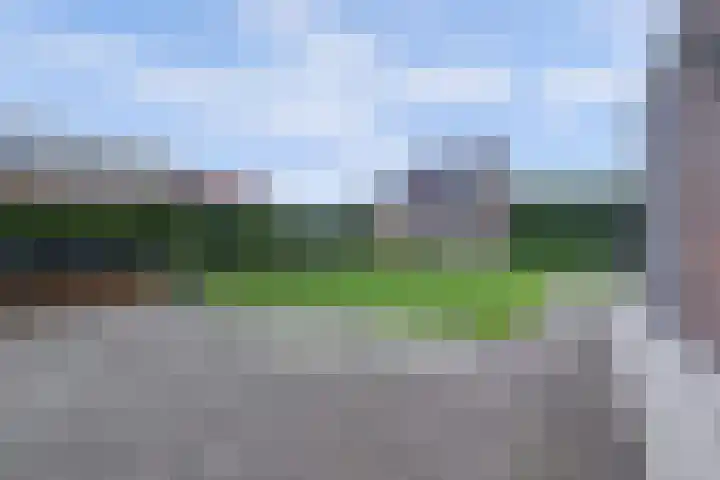 Plataan 3 Cuijk thumbnail 4