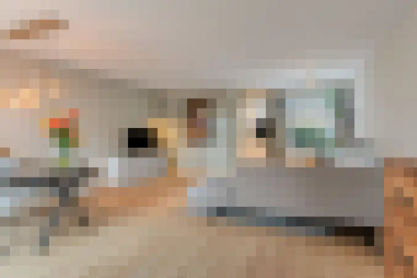 Plataan 42 Mierlo thumbnail 17