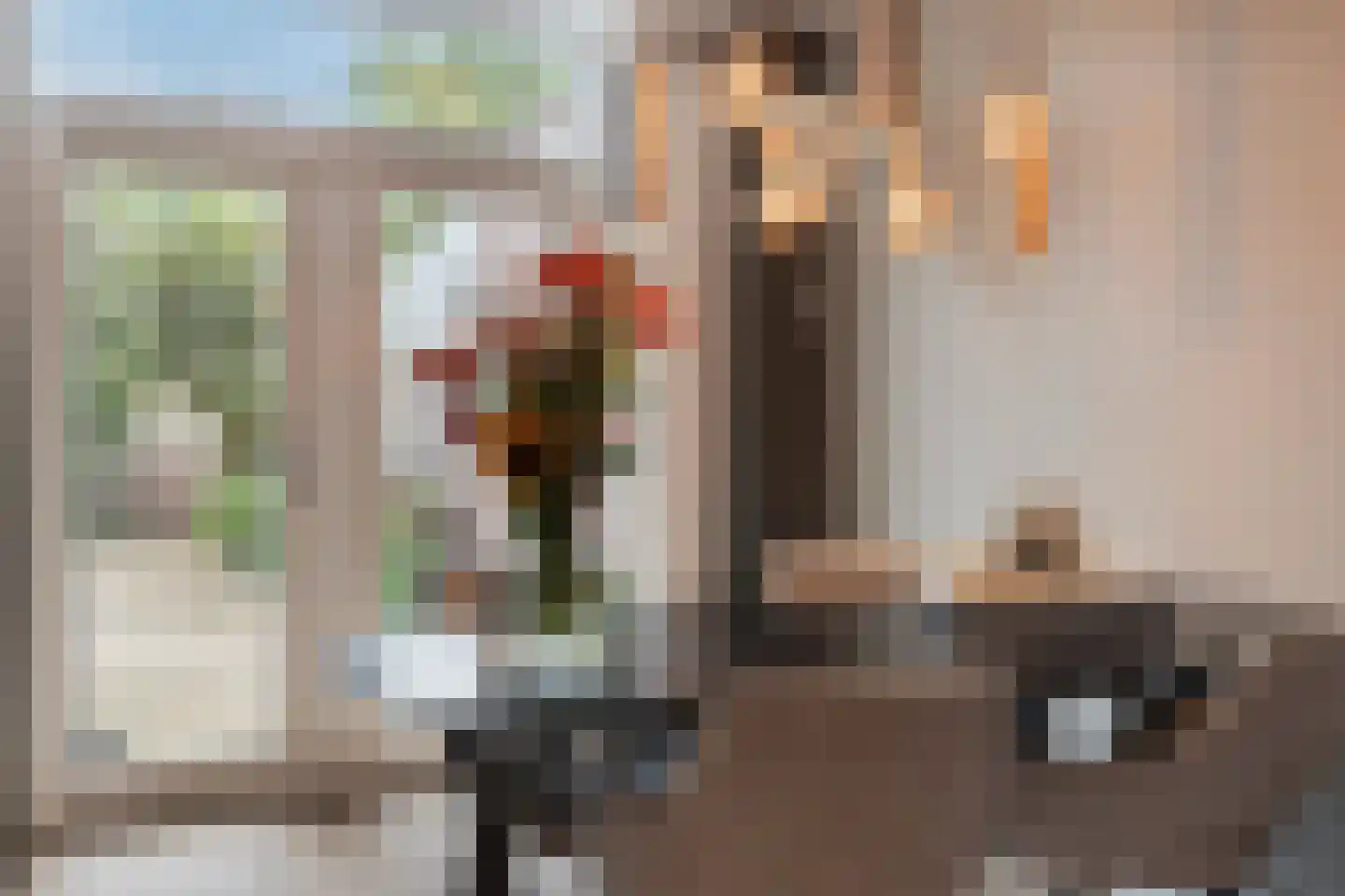 Plataan 42 Mierlo thumbnail 20