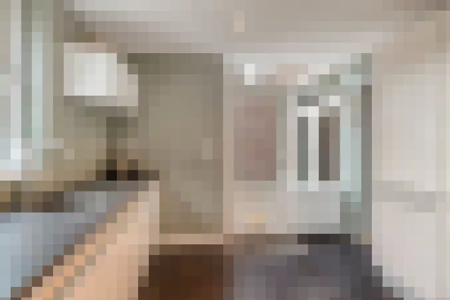 Plataan 42 Mierlo thumbnail 22