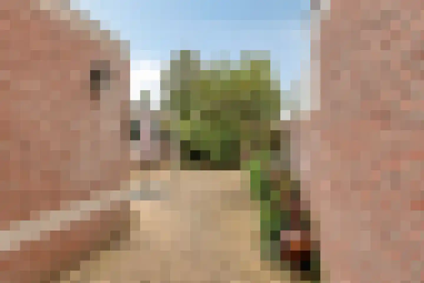 Plataan 42 Mierlo thumbnail 26