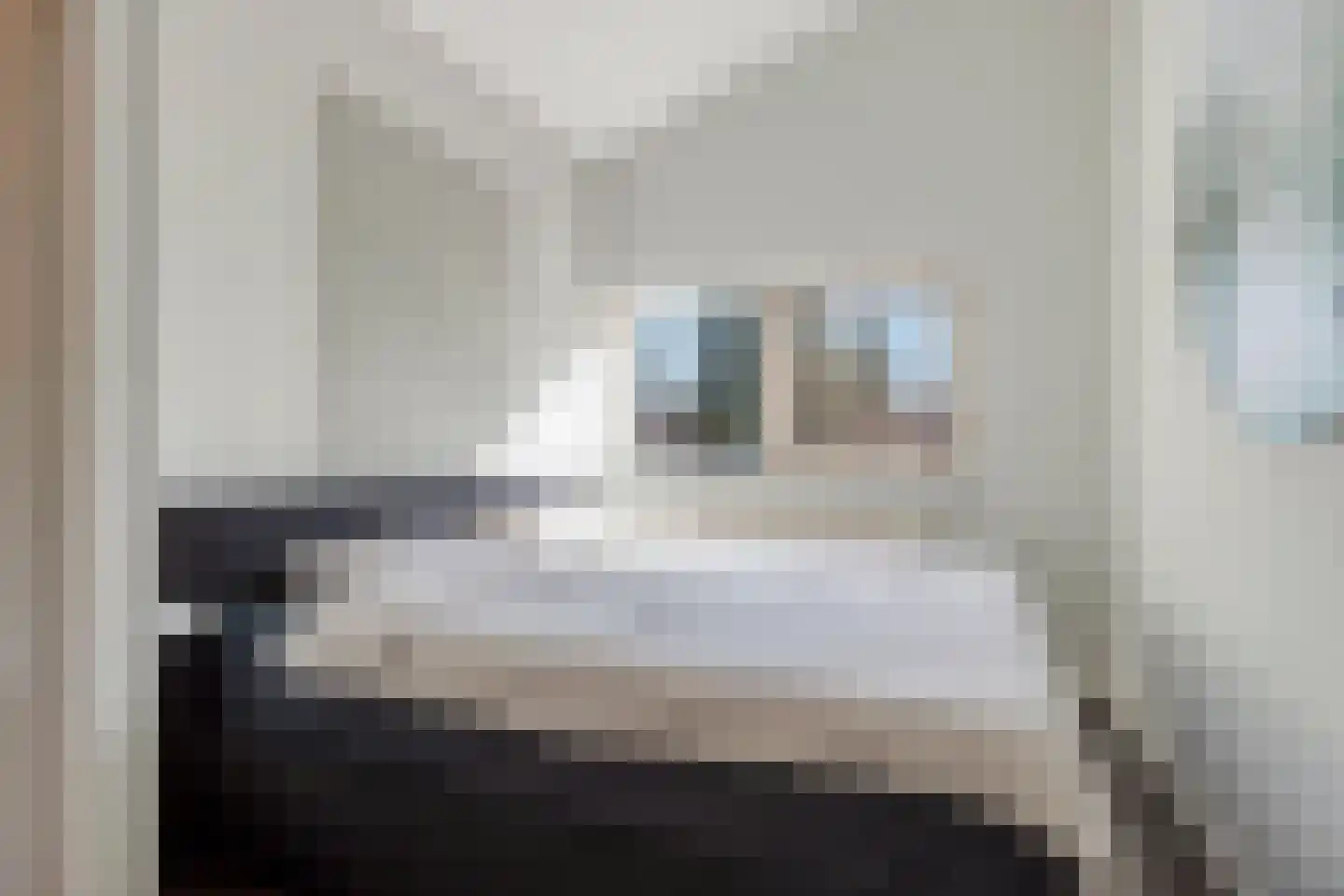 Plataan 42 Mierlo thumbnail 29