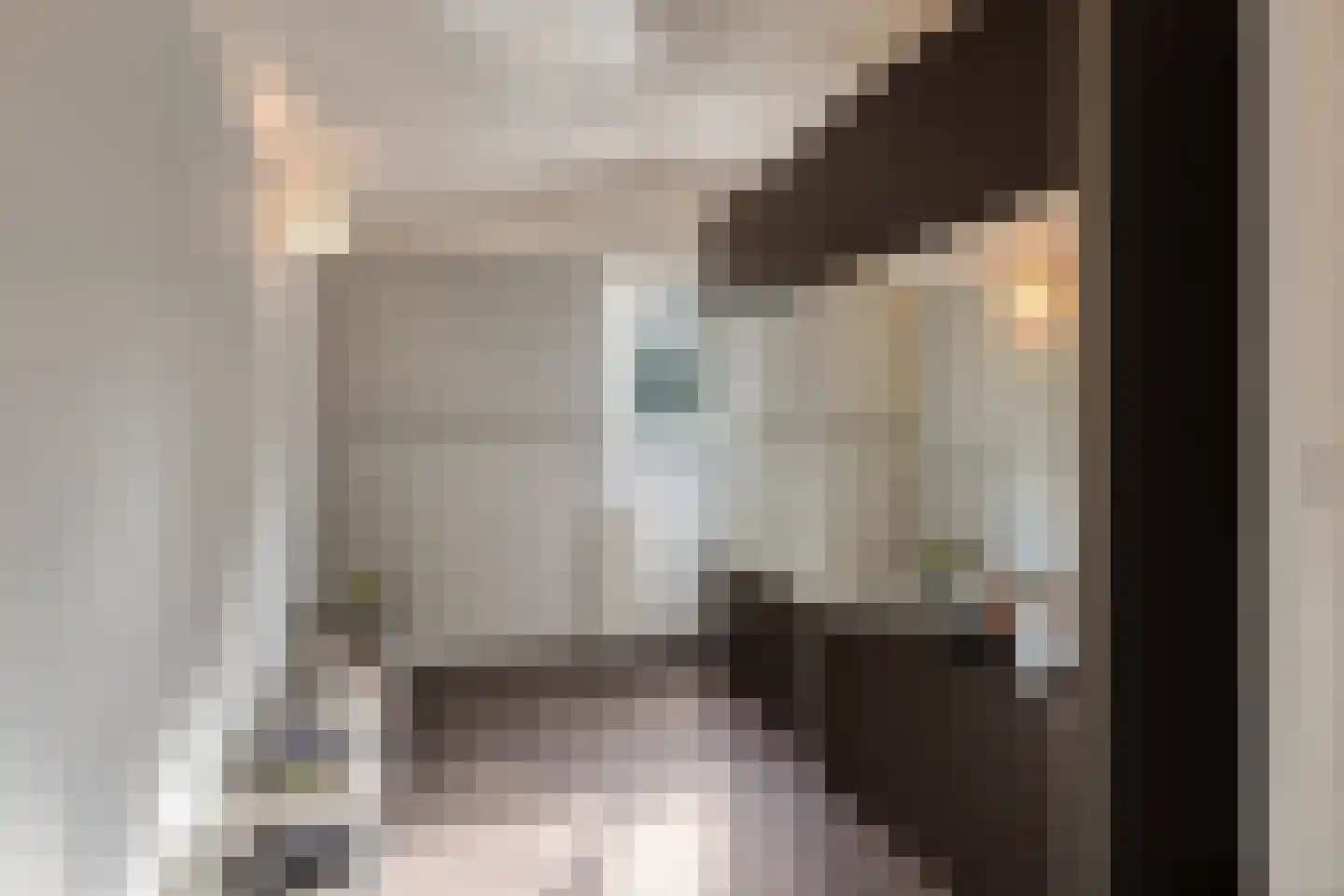 Plataan 42 Mierlo thumbnail 33