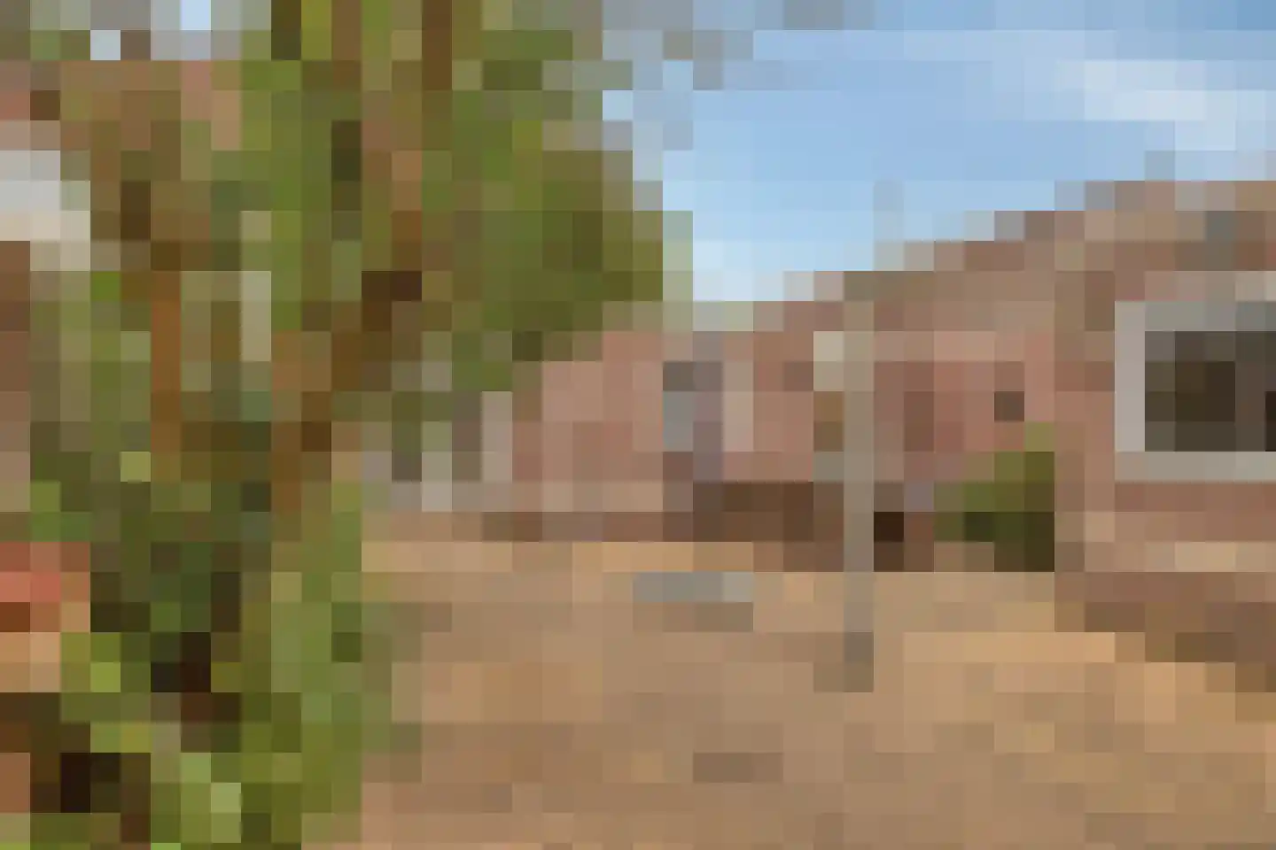 Plataan 42 Mierlo thumbnail 40