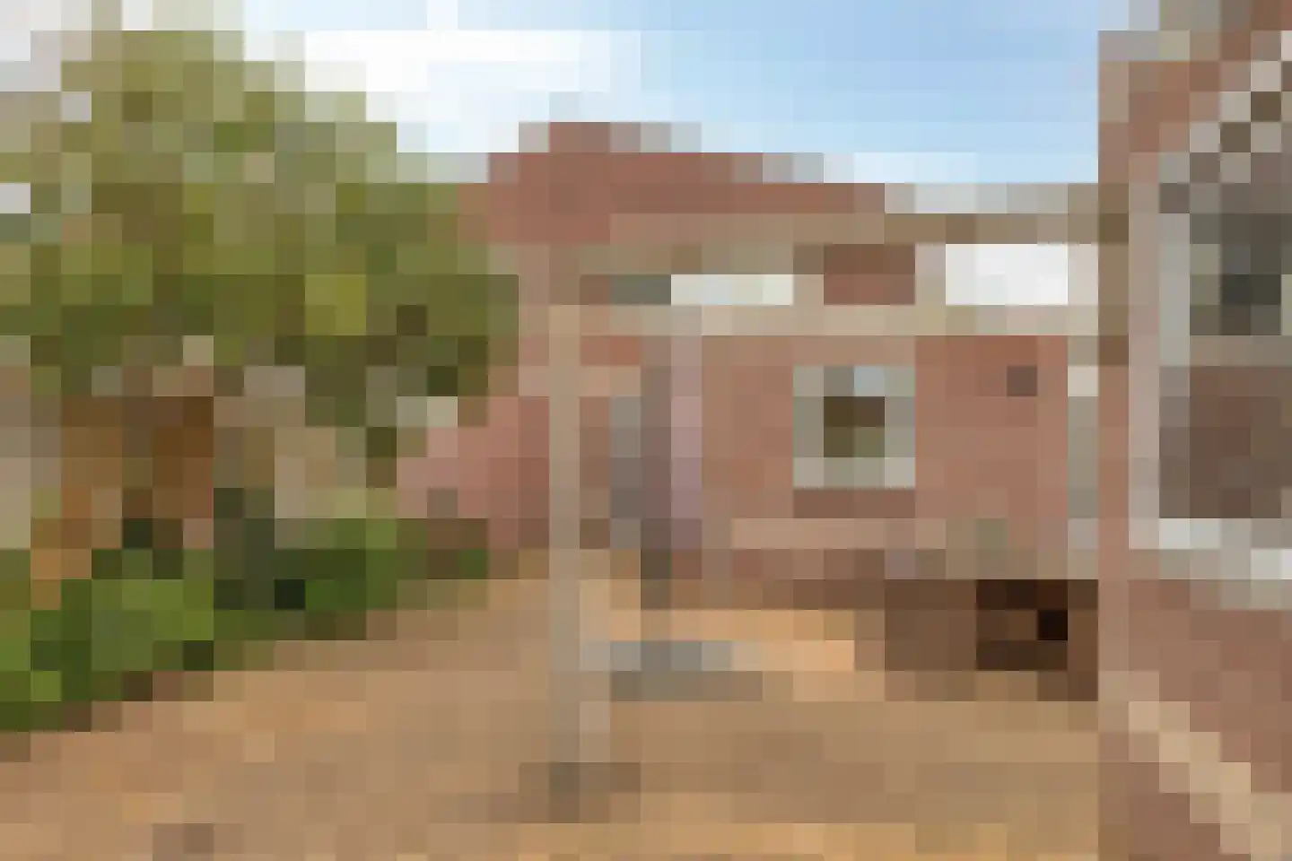 Plataan 42 Mierlo thumbnail 44