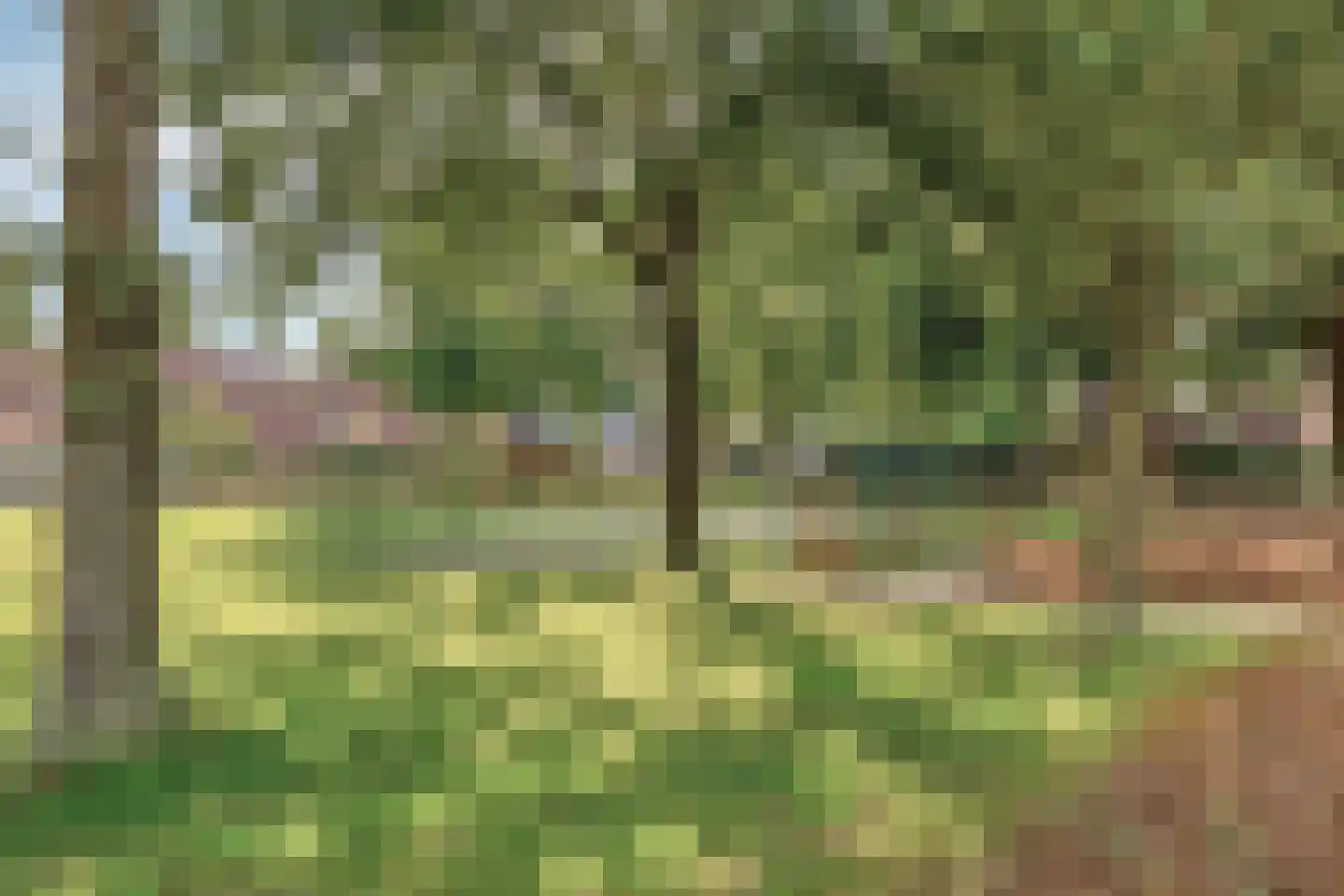 Plataan 42 Mierlo thumbnail 45