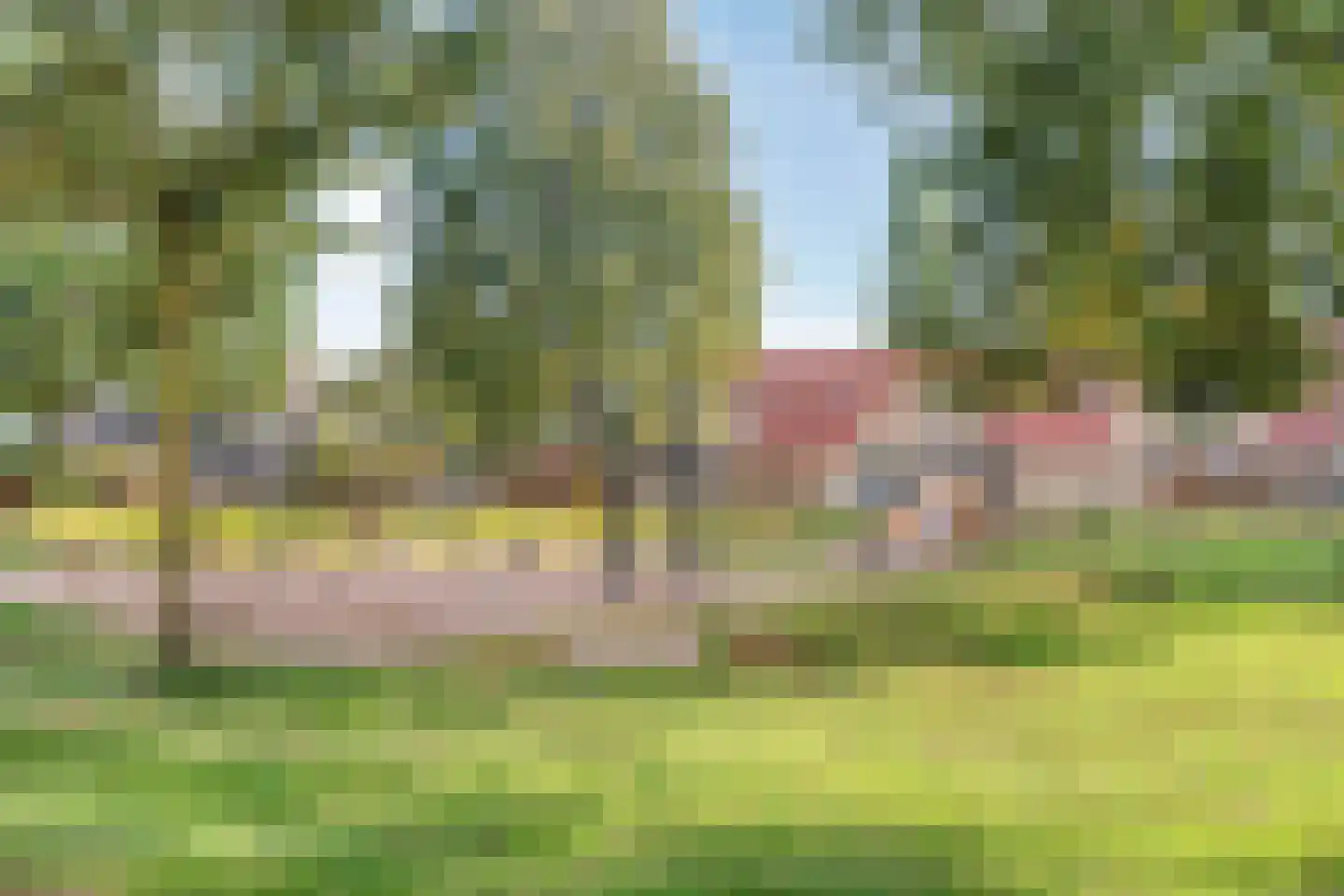 Plataan 42 Mierlo thumbnail 46