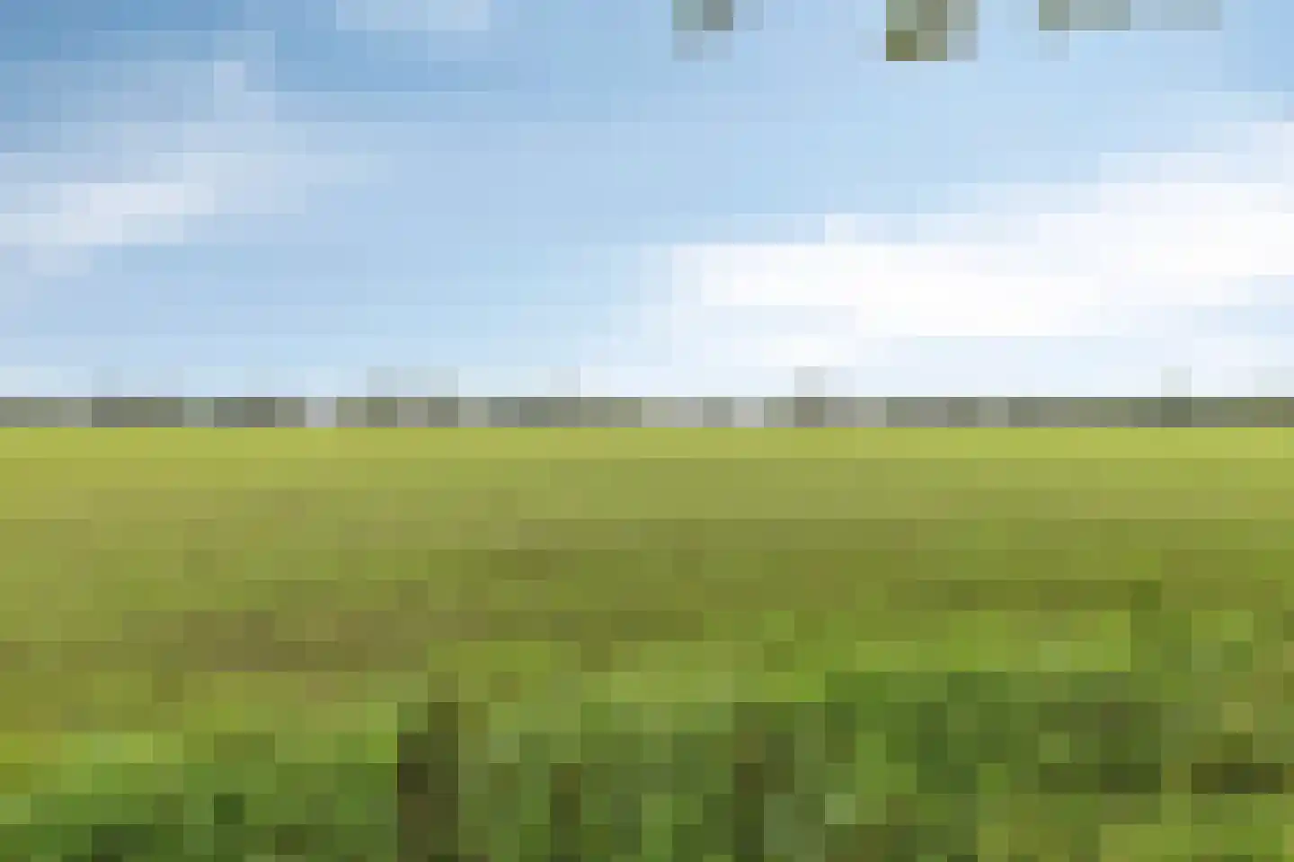 Plataan 42 Mierlo thumbnail 47