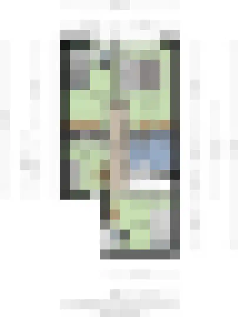 Plataan 42 Mierlo thumbnail 50