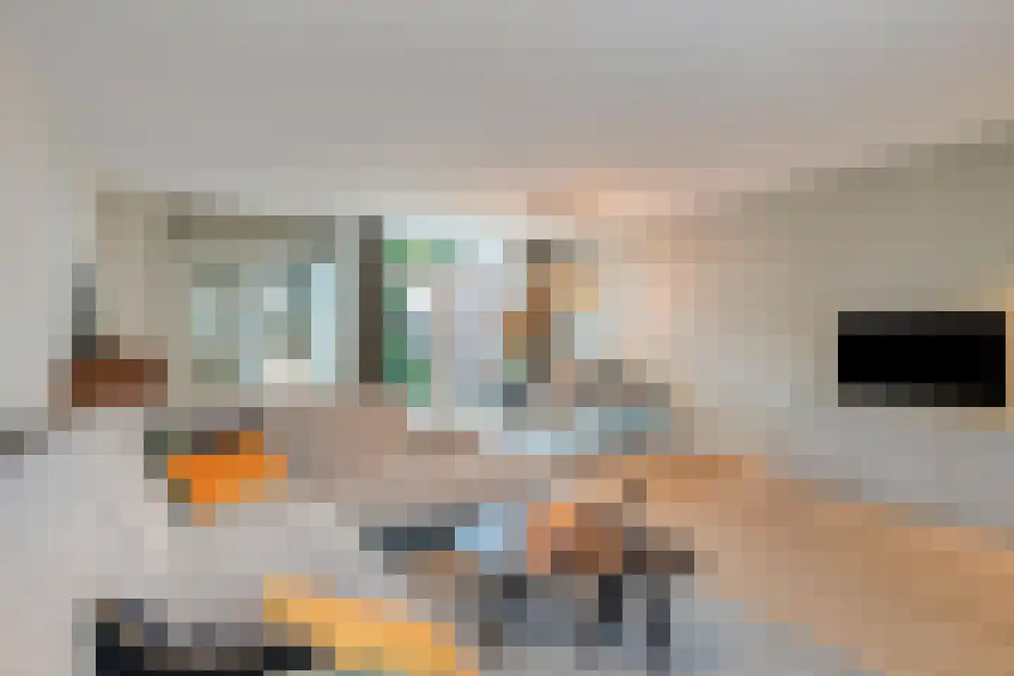 Plataan 42 Mierlo thumbnail 6