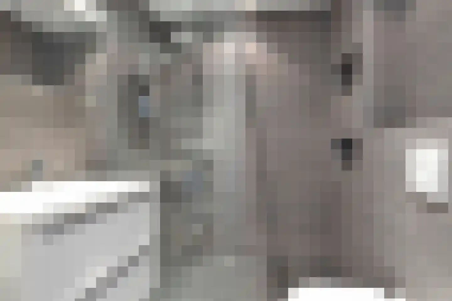 Plataan 42 Mierlo thumbnail 9
