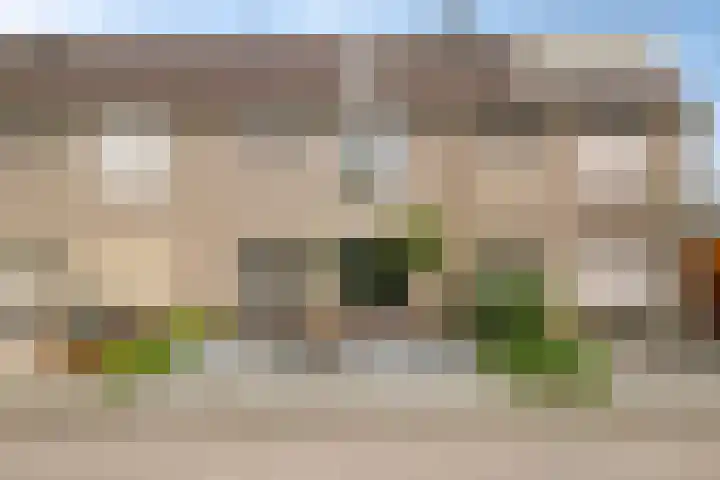 Plataan 67 in Best