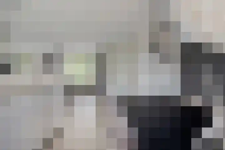 Plataan 67 Best thumbnail 10