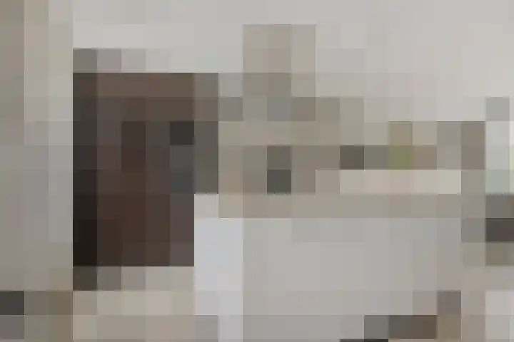 Plataan 67 Best thumbnail 12