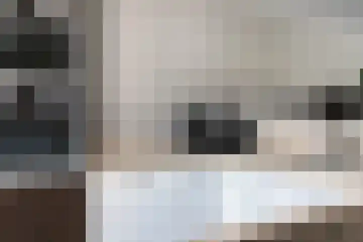 Plataan 67 Best thumbnail 13