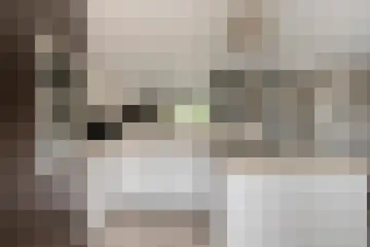 Plataan 67 Best thumbnail 14