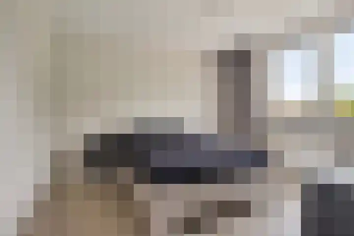 Plataan 67 Best thumbnail 19