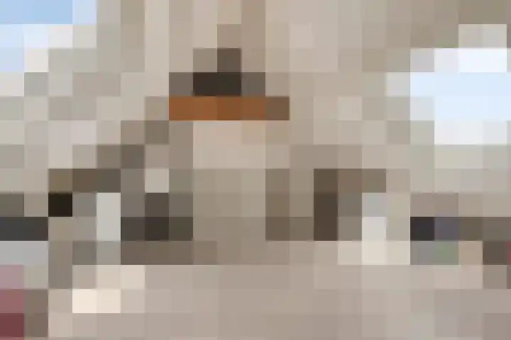 Plataan 67 Best thumbnail 24