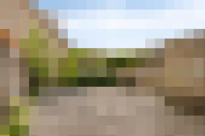 Plataan 67 Best thumbnail 26