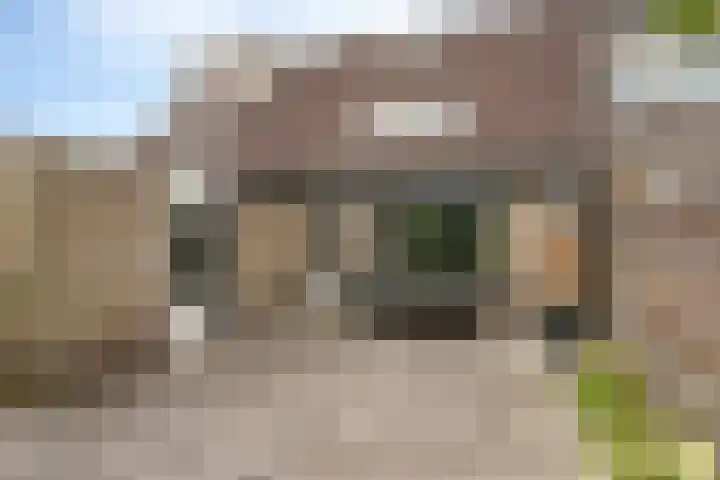 Plataan 67 Best thumbnail 28