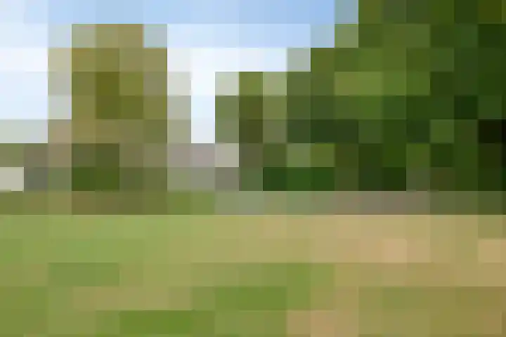 Plataan 67 Best thumbnail 29