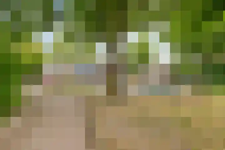 Plataan 67 Best thumbnail 32