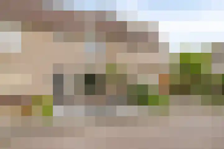 Plataan 67 Best thumbnail 33