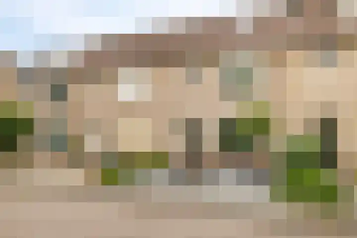 Plataan 67 Best thumbnail 34