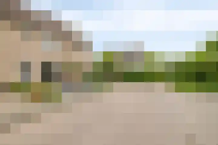 Plataan 67 Best thumbnail 35