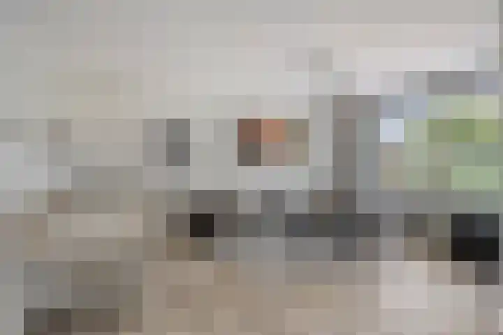 Plataan 67 Best thumbnail 6