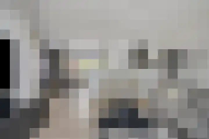 Plataan 67 Best thumbnail 7