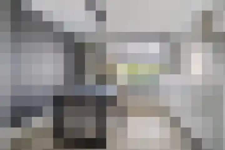 Plataan 67 Best thumbnail 9