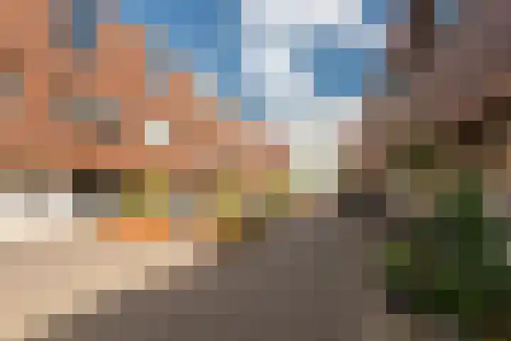 Plataan 74 Mierlo
